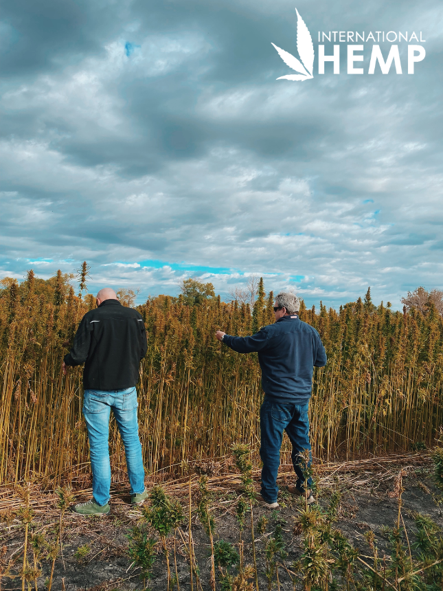 International Hemp tweet media