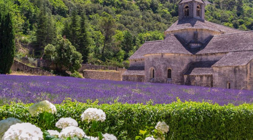 Pratique.fr tweet media