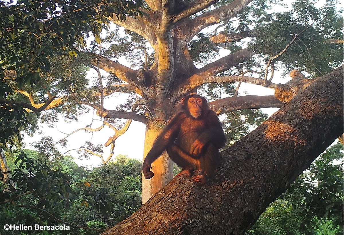 Hellen 🏳️🌈🏳️⚧️🍉 tweet media