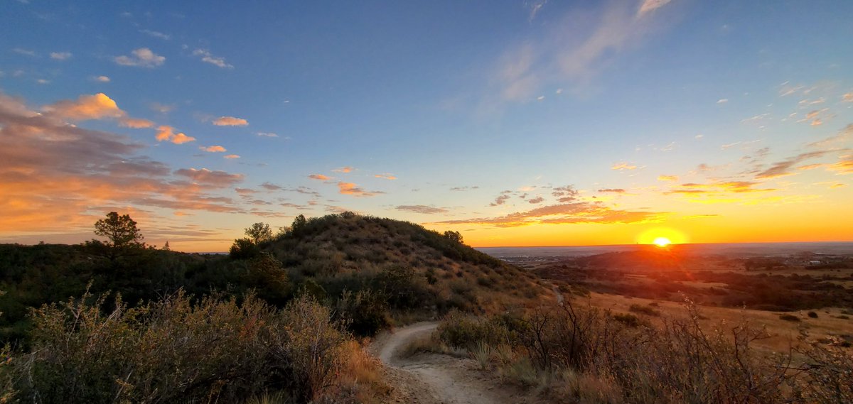 Andrew Steadman (@steadmanac) on Twitter photo 