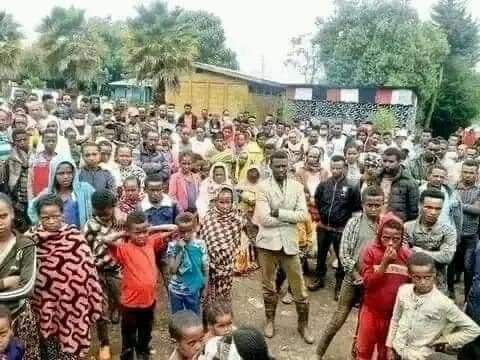 GutuTerfasa's tweet photo. Many families killed & displaced in #Amuruu, #JarteJardaga & #Abuna localities of Horroo Guduru Zone, West #Wallagga following indiscriminate attacks by #AmharaFano supported by #Ethiopia regime. Homes & crops burned down.
@hrw @UNHumanRights @UNGeneva @amnesty
@ReutersAfrica https://t.co/TzwImUoeN3
