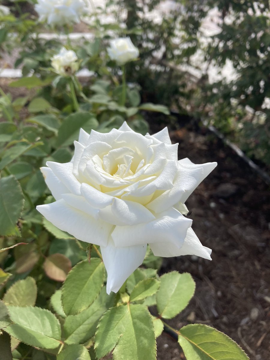 I had a great time today.  I want to say thank you.  Good night