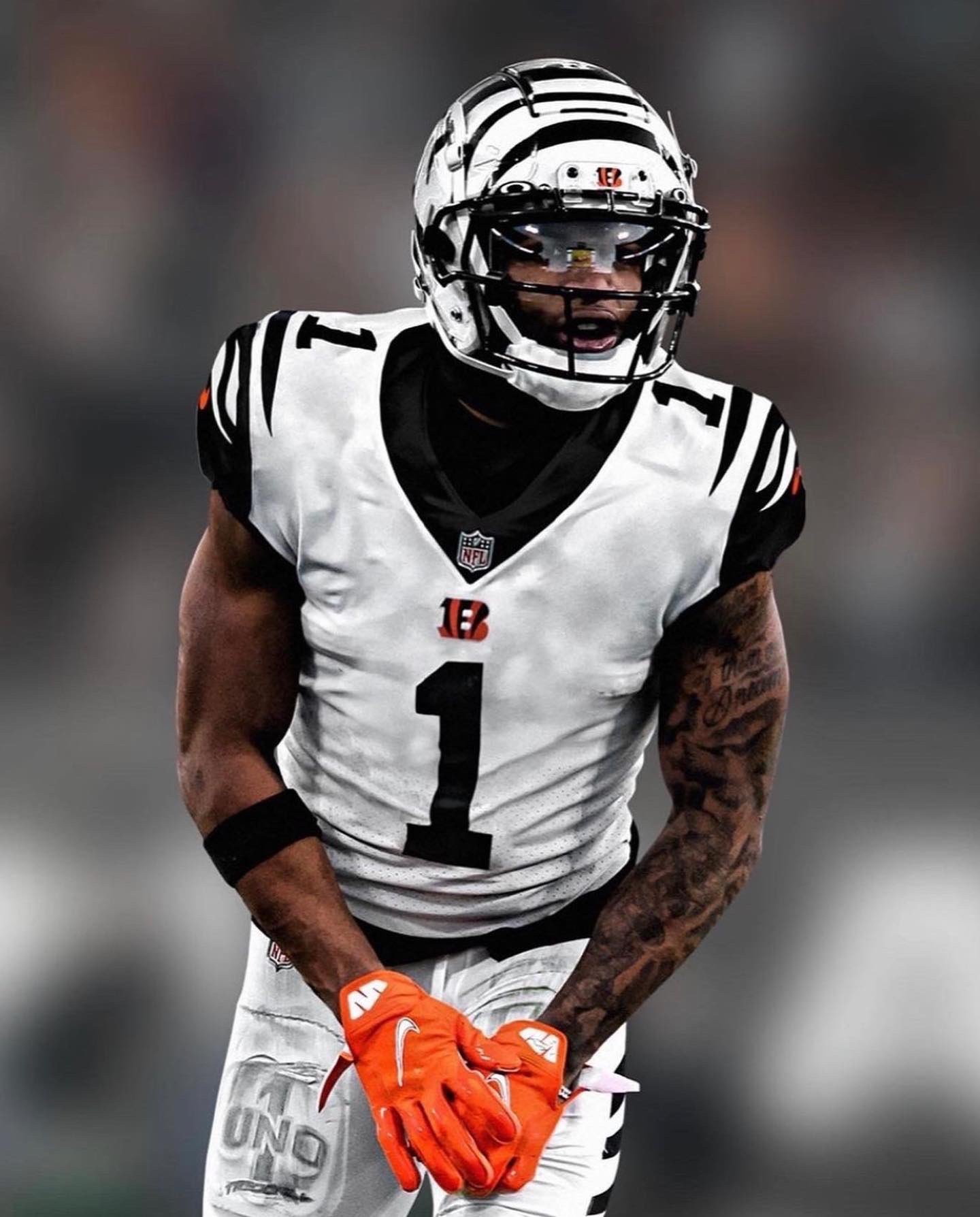 cincinnati bengals white