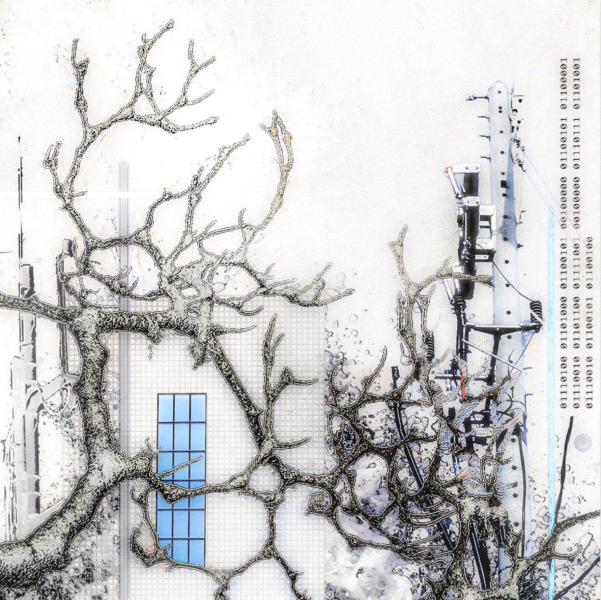 earthsample tweet media