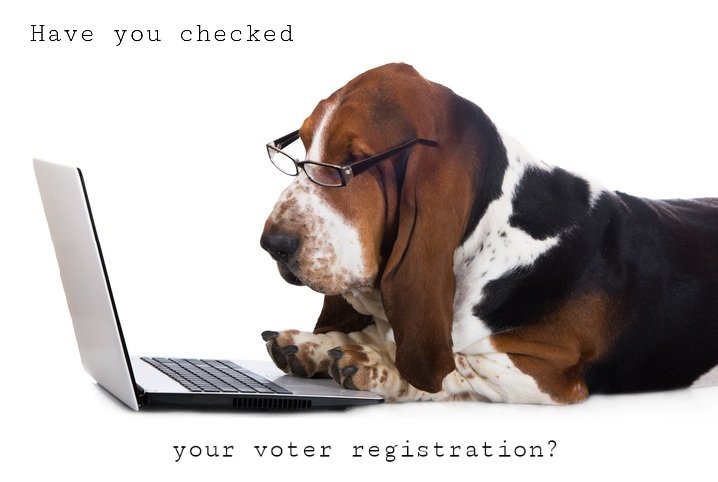 dovah_basset's tweet photo. @laney2003us @ElMoizzy Good morning
#VoteBlue
#TruePatriotsVoteBlue https://t.co/2UvxXuu5aL