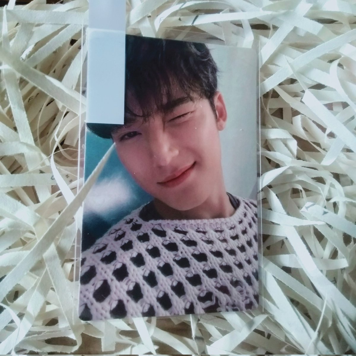 kkuhauls's tweet photo. 💌 ; #0118mails 

wink mingyu haver na ko yehey thank you @cozycartz for letting me adopt them <33 see u sa con !! https://t.co/fASOxPLhJ9