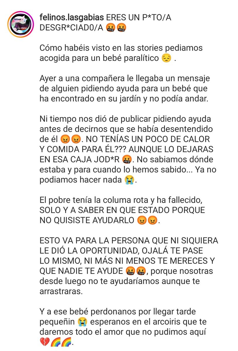 Felinos_Gabias's tweet photo. ERES UN P*TO/A DESGR*CIAD0/A 🤬🤬

Vuela alto pequeñín 🖤🌈😿 https://t.co/WQs6bAbHtc