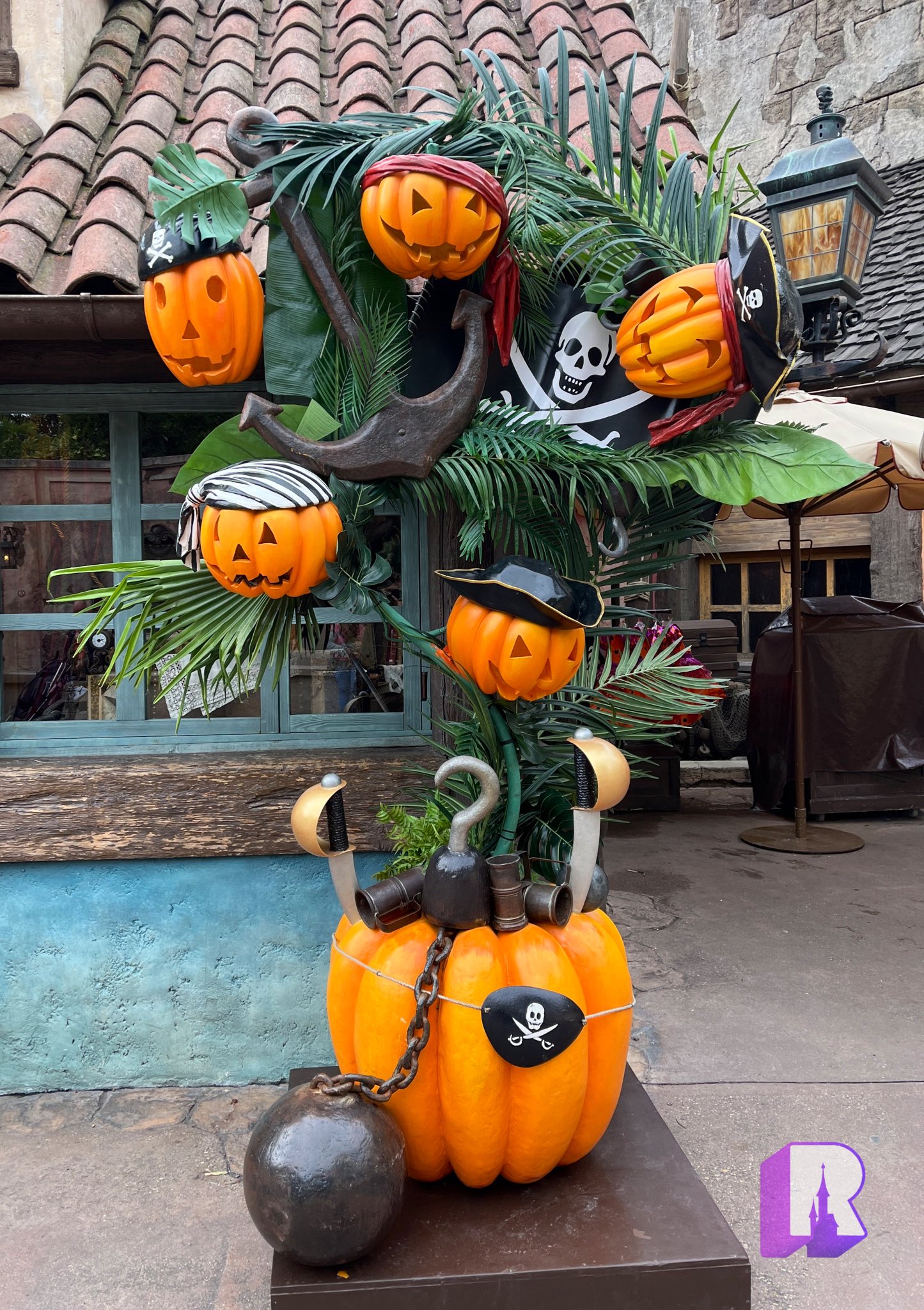 DLP Report on X: 🎃 The Pirate Pumpkin Tree is back near the Pirates of  the Caribbean exit. Always a fun one!  / X