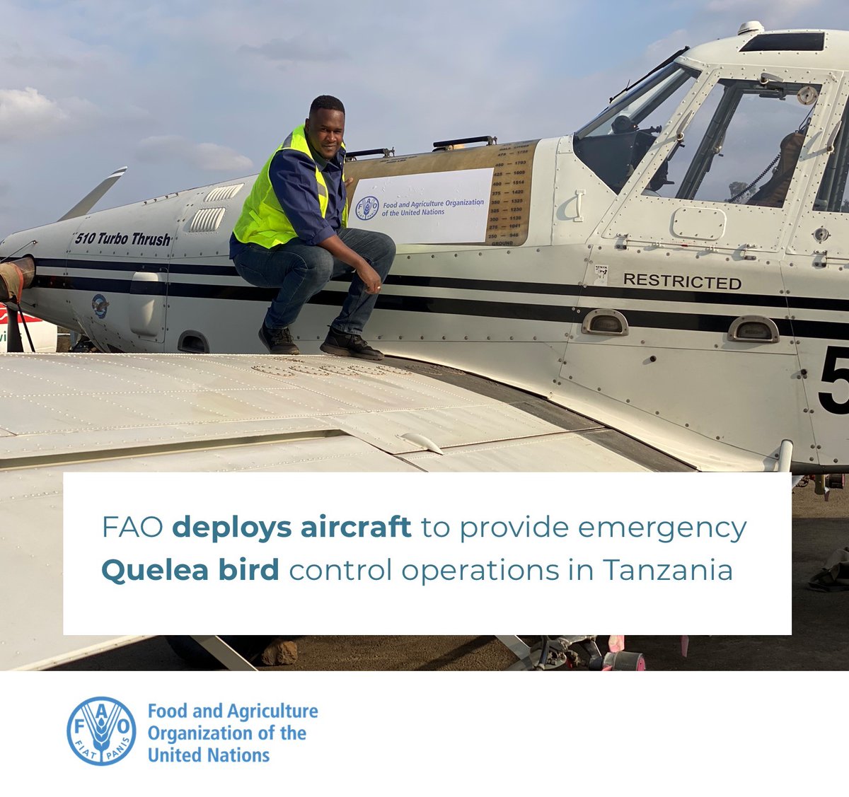 faosfsafrica's tweet photo. #NewsUpdate: In support to the emergency response efforts of the gov't of #Tanzania, @FAO has deployed an aircraft to control the spread of #quelea bird outbreak in affected areas. 👉https://t.co/VDThxau47E
#SavingLivelihoods https://t.co/lIehrFmYg3