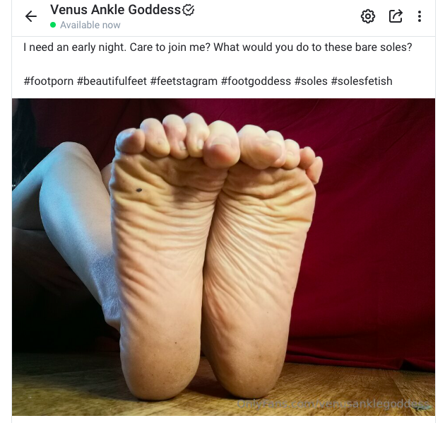 AnkleVenus's tweet photo. I need an early night. Care to join me? What would you do to these bare soles? 👣💋💦

Follow link for more >>>
https://t.co/58vlCdbLNU

#footporn #beautifulfeet #feetstagram #footgoddess #soles #solesfetish https://t.co/abeR1pcx7P