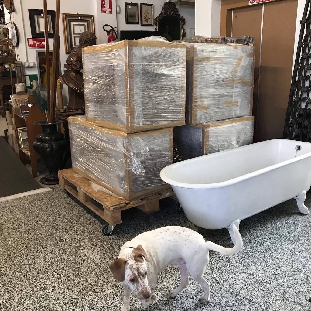 CrazyArtMilano's tweet photo. Oggi siamo così: dopo il reso di un noleggio, non sappiamo più dove mettere le cose e per ora le abbiamo piazzate di fronte all’ascensore in attesa di tornare al loro posto. Per oggi quindi lo teniamo fermo, scusateci 😅E intanto Paco passa 😂 https://t.co/6IEhPrk3U0 https://t.co/1EwAc2lMGC