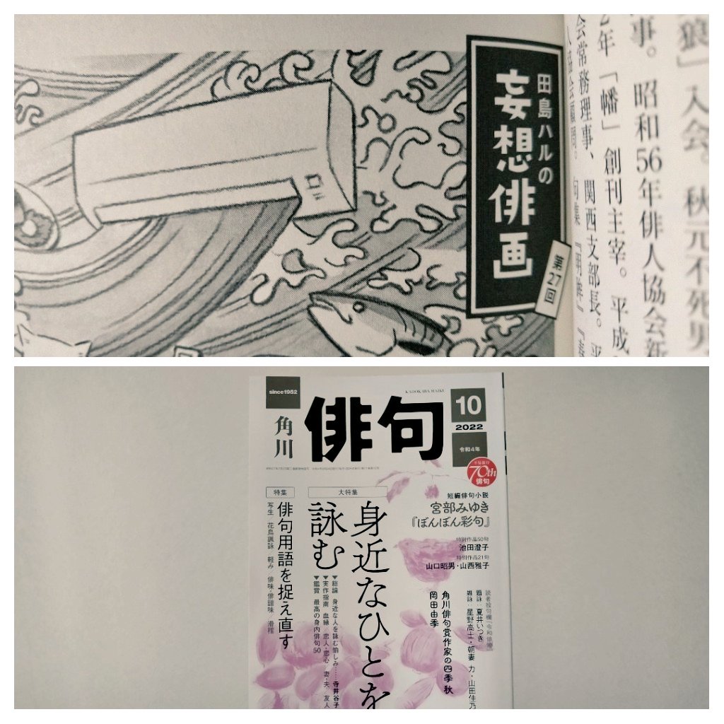 角川「俳句」10月号発売中。#田島ハルの妄想俳画 第27回目載ってます。今回は小川楓子さんの句から俳画とエッセイを書きました。新刊サロンのコーナーには花山周子さんによる小川さんの句集「ことり」の書評も。お手にとっていただけたら嬉しいです🐟️🥫
#俳句 #俳画 