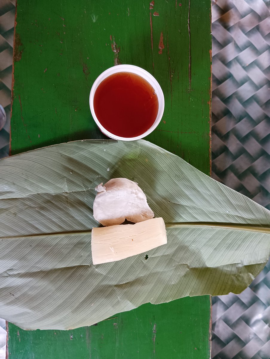 bhogtoram99's tweet image. Job's tears, taro, sesame, tapioca and other food plants growing together in the agrobiodiversity rich jhum based indigenous food system of the khasis. #indigenousfoodsystems #khasi #IndigenousPeoples #shiftingcultivation #indigenousknowledge #foodsovereignty