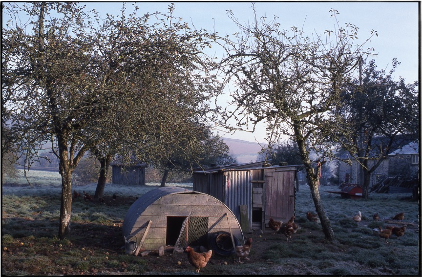 Little Toller 🇺🇦🇵🇸 (@littletoller) on Twitter photo NEW BOOK - The Lost Orchards.
Today along with <a href="/CommonGroundLab/">Common Ground</a> we are launching a <a href="/crowdfunderuk/">Crowdfunder UK</a> campaign to publish a book that inspires communities to rediscover, celebrate and conserve apple trees and orchards that make their locality special.
crowdfunder.co.uk/p/the-lost-orc… NEW BOOK - The Lost Orchards.
Today along with <a href="/CommonGroundLab/">Common Ground</a> we are launching a <a href="/crowdfunderuk/">Crowdfunder UK</a> campaign to publish a book that inspires communities to rediscover, celebrate and conserve apple trees and orchards that make their locality special.
crowdfunder.co.uk/p/the-lost-orc…