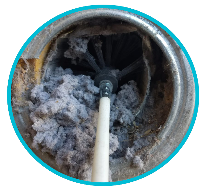 idea_amritsar's tweet photo. Dryer Vent Cleaning &amp; Repair Service Houston
Call #Lexa 346.491.8254
Email lexaduct@gmail.com

https://t.co/Vj3QSLN44v

#Air #Duct #Cleaning
#dryvent #cleaning #services #houston #dryventcleaningservice #humble #cypress #texas #acservice #hvac https://t.co/WGj7cqHN1l