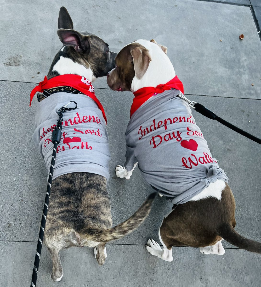 There is a sincere sense of camaraderie when people come together to support a cause. Thank you <a href="/Indyday_lions/">Independence</a> for being a part of an unstoppable team and showing up to make a difference for <a href="/AmericanHeartTX/">American Heart Texas</a>. <a href="/UPS/">UPS</a> <a href="/UPSers/">UPSers</a> <a href="/Maritz_91/">M Ramos</a> <a href="/bigtymer504/">E.J.⚜</a>