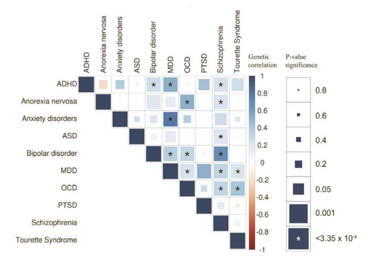 Bru Cormand Rifà (@bcormand) on Twitter photo Autism and Attention-Deficit/Hyperactivity Disorder show clinical overlap and also distinctive features. Are there shared/differentiating genetic factors behind this? The answer in our new paper in <a href="/NatureGenet/">Nature Genetics</a> 👇nature.com/articles/s4158… <a href="/craibiologia/">CRAI Biblioteca de Biologia - UB</a> <a href="/GeneticsUB/">GeneticsUB</a> <a href="/UBDivulga/">La UB Divulga</a> Autism and Attention-Deficit/Hyperactivity Disorder show clinical overlap and also distinctive features. Are there shared/differentiating genetic factors behind this? The answer in our new paper in <a href="/NatureGenet/">Nature Genetics</a> 👇nature.com/articles/s4158… <a href="/craibiologia/">CRAI Biblioteca de Biologia - UB</a> <a href="/GeneticsUB/">GeneticsUB</a> <a href="/UBDivulga/">La UB Divulga</a>