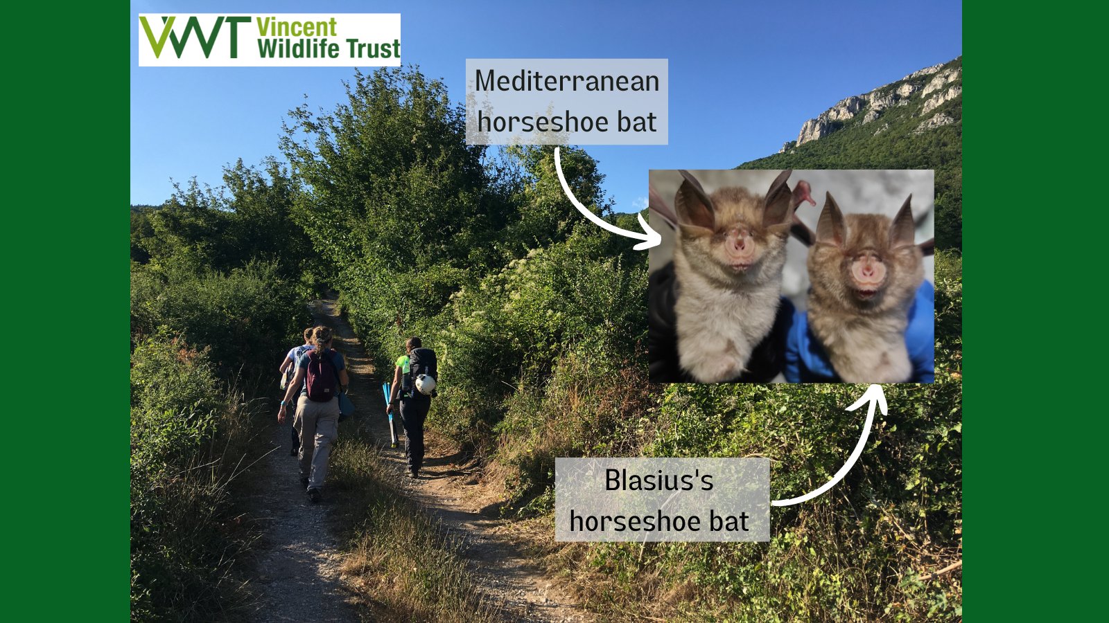 Vincent Wildlife on Twitter "We recently carried out fieldwork with