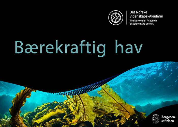 Direktesendt fra Kavlisalen: Bærekraftig hav med Ole Torp og Finn Gunnar Nielsen (UiB), Lise Doksæter Sivle (HI), Anna Nilsson (NINA, Bergen) og Bente Pretlove (DNV). Link til sendingen finner du fra nettsidene.  dnva.no/detskjer/2022/… I kveld!