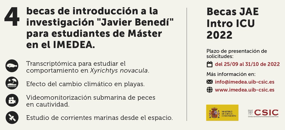 ¿Quieres trabajar con nosotros? ¿Conoces nuestras #becas de inicio a la investigación para titulados superiores en memoria del Dr. Javier Benedí Benito? Se admiten solicitudes hasta el 30 de octubre. ¿A qué estás esperando? 😉 🔗imedea.uib-csic.es/communication_… #JAEintro #JAEintro2022