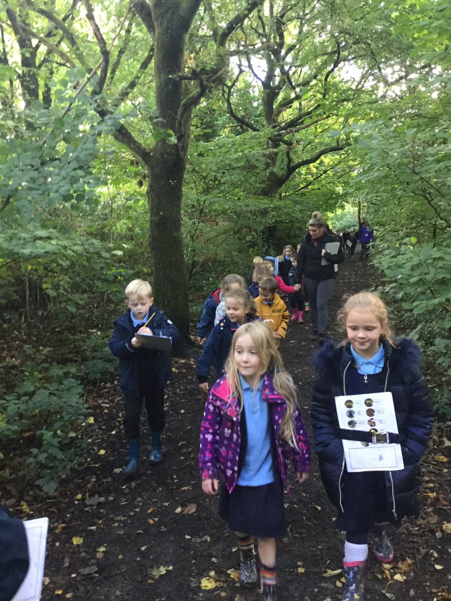 kfinchclass's tweet photo. 1FL had a great time visiting Ashfield Park yesterday. We spotted lots of the signs of Autumn. https://t.co/0VBP8JH88s