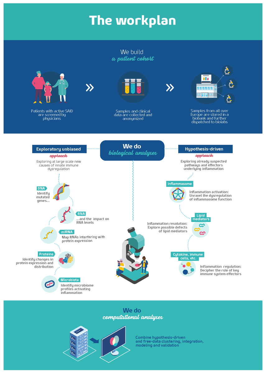 ImmunAID_EU's tweet photo. How will ImmunAID identify new biomarkers?
1st: By building the world’s largest cohort on #autoinflammatory disorders.
2nd: Collected samples will help define the immunome of #SAIDs
3rd: Biomarkers will be derived.
Ambitious? Yes! Achievable? Yes! #autoinflammatoryaware https://t.co/4B6iJmCywP