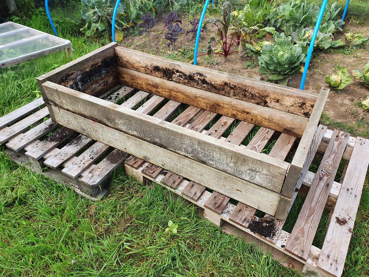 DoddysAllotment's tweet image. First part of the polytunnel raised bed donated by retiring allotmenteer.

#GardeningTwitter #allotment #growyourown