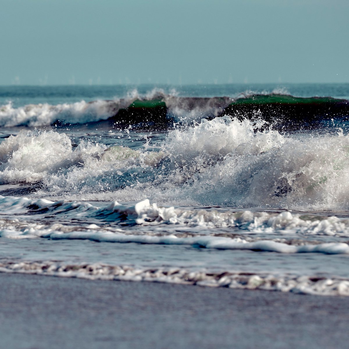 Coastal Distillery tweet media