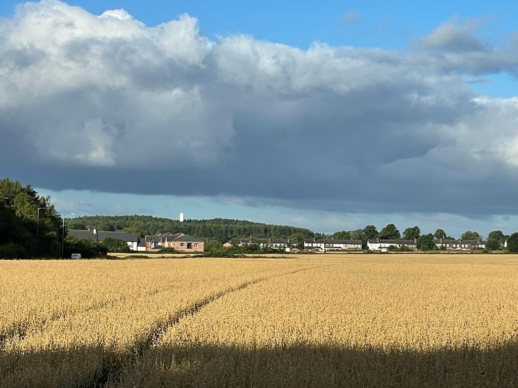 The next BOLD PARISH COUNCIL meeting will be held at Chester Lane Library, on TUESDAY 4th October 2022, commencing at 7.15pm. It would be great if you could join us.