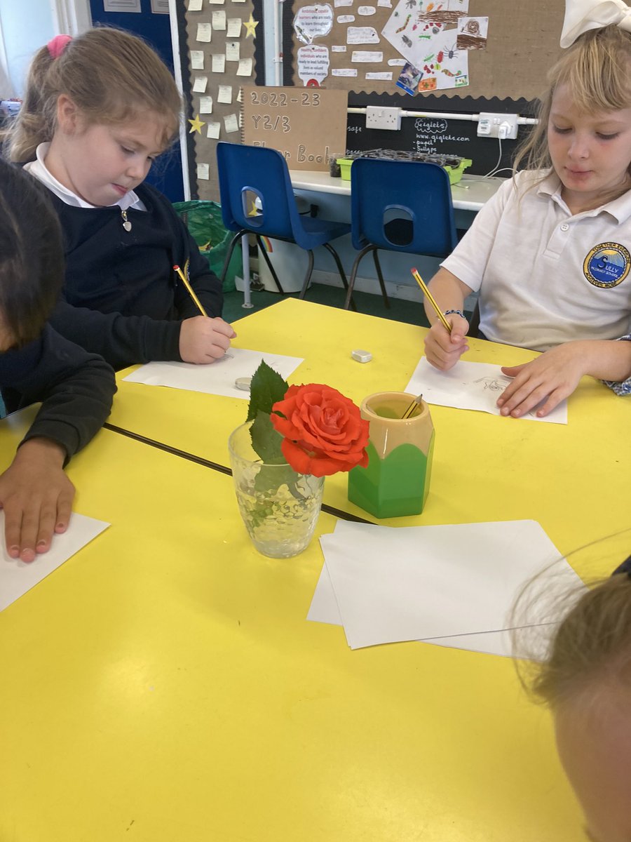 SullyPS's tweet photo. Itβs our first Art club in #SPSPS2! Amazing observational art of roses from Miss Priceβs house. #SPSexpressivearts https://t.co/N7OQpS0lrR