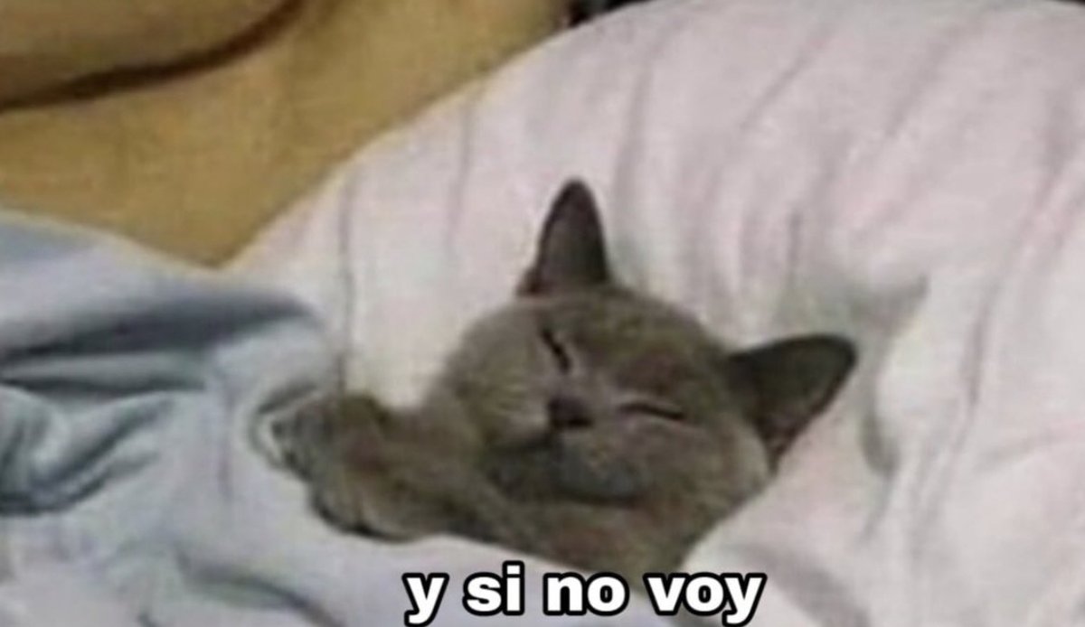 Guarromantico_'s tweet photo. *Suena la alarma*

Yo: https://t.co/YezDD1wJu5