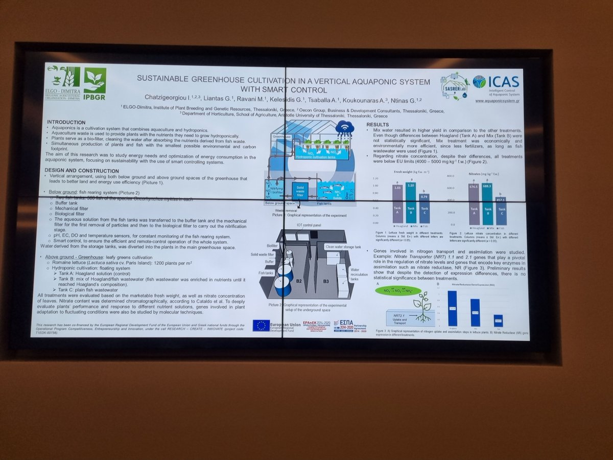 Tsaballa's tweet photo. Last week in Athens #HAICTA2022 conference, we had the pleasure to present the first results from our smart #aquaponics system where #plants are being thorougly checked for their adaptability via gene expression studies (among other interesting things) #agriculture #smartfarming https://t.co/q1i5ACmMtj