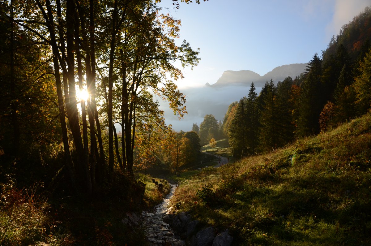 SALZWELTEN's tweet photo. HALLSTATT IN AUTUMN🍁🧡🍂
Fall is starting to show its colors in the Upper Hallstatt Valley🎨and we're ready to greet the changing seasons!✨Come take in the views of the mountains in their autumn hues🌄
#autumn #salzweltenhallstatt #fallcolors #hallstatt #salzwelten #austria https://t.co/C0FP7I1tu9