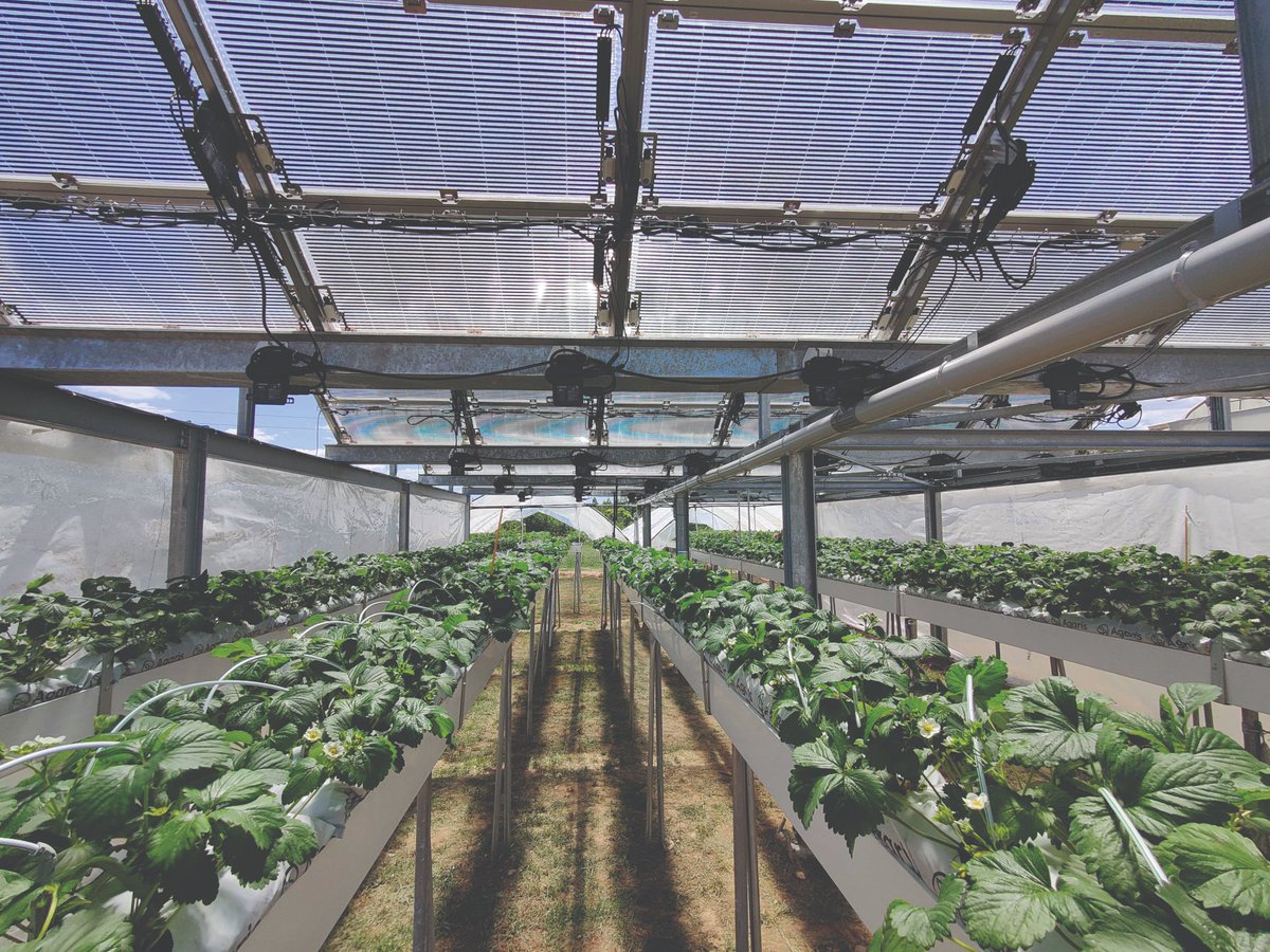 Insolight tweet media