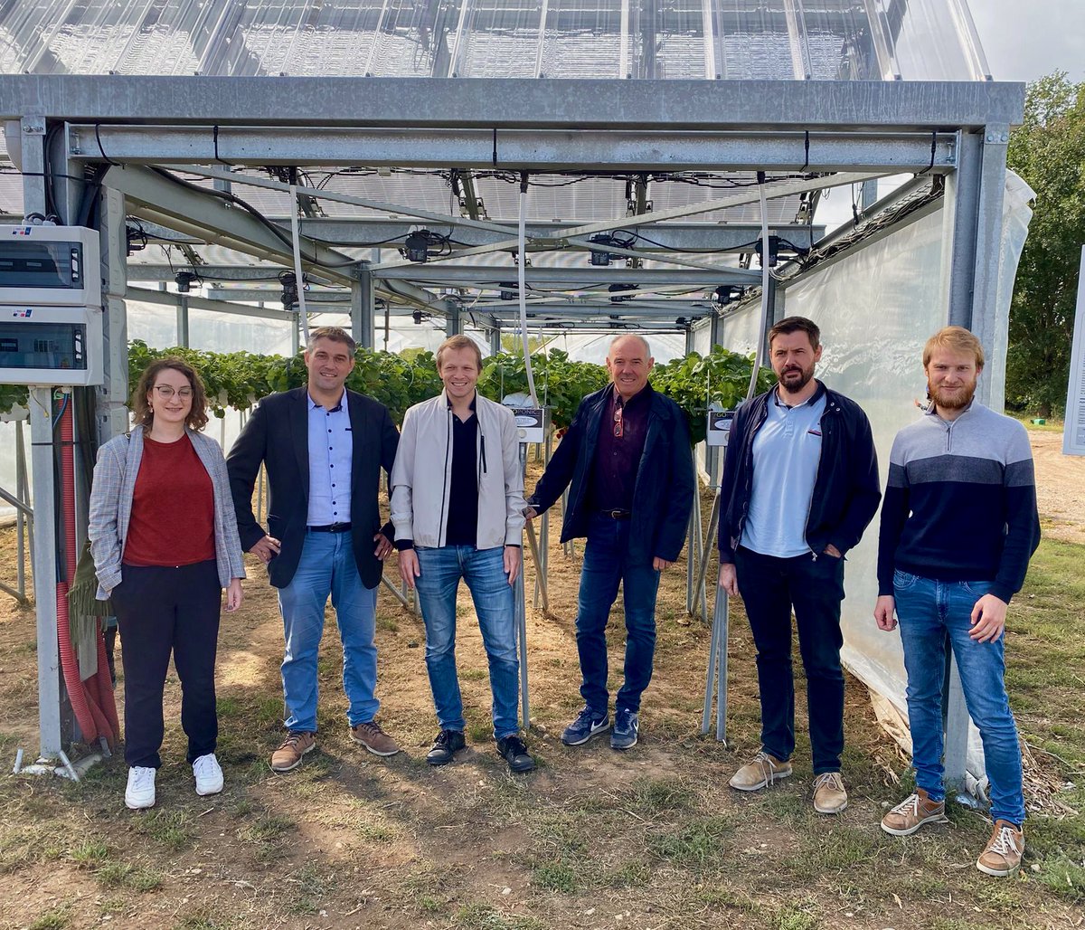 Insolight tweet media