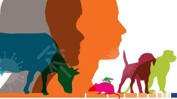 Immunity for Health tweet media