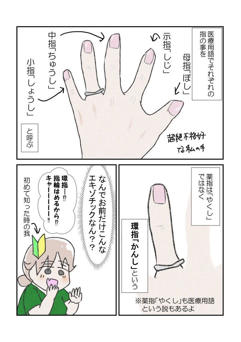 エキゾチックフィンガー #漫画が読めるハッシュタグ #YOMcoma 