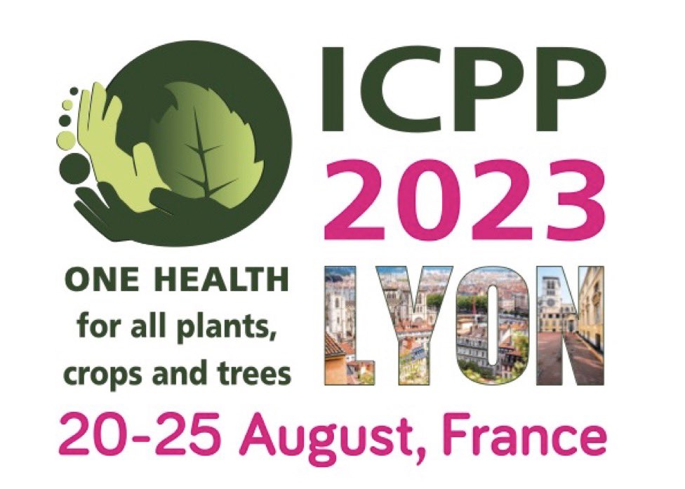 When the going gets tough, the tough keep dreaming of #ICPP2023