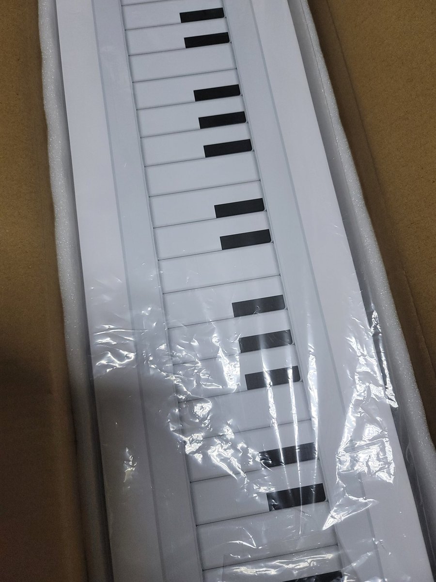 beatmania_jcs's tweet image. 届きました😆✨
#NOSTROLLER