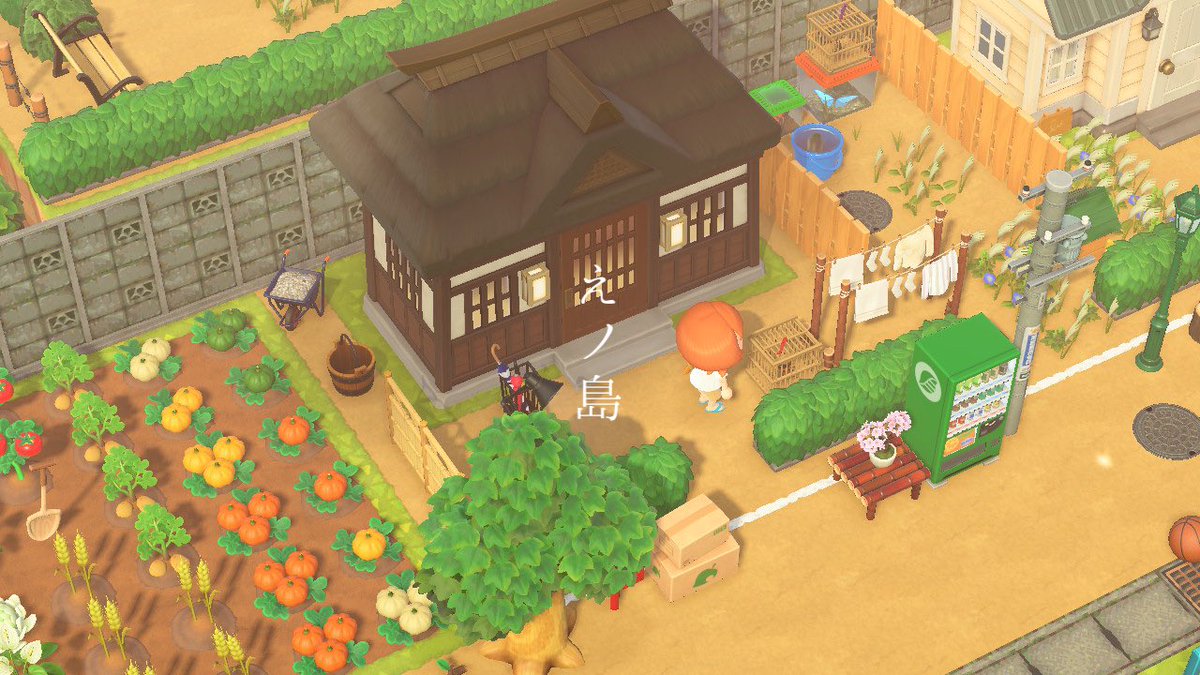 久しぶりに田舎に帰ったんだ🌾

#あつ森 #あつまれどうぶつの森 #あつ森写真部 #ACNH