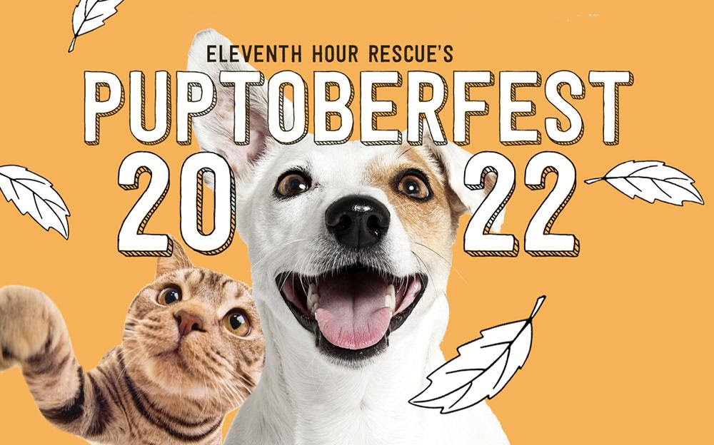 SpartaLiving's tweet photo. Eleventh Hour Rescue's Puptoberfest 2022
Saturday, Oct 1, 11am-4:30pm Horseshoe Lake, 72 Eyland Avenue, Succasunna. Food trucks, Vendors, Music, Tricky Tray, Dog/Cat Adoptions, Games &amp; Canine Costume Contest. $10/adult $5/student Under 5/free #eleventhhourrescue #puptoberfest https://t.co/uiOCZn6lYk