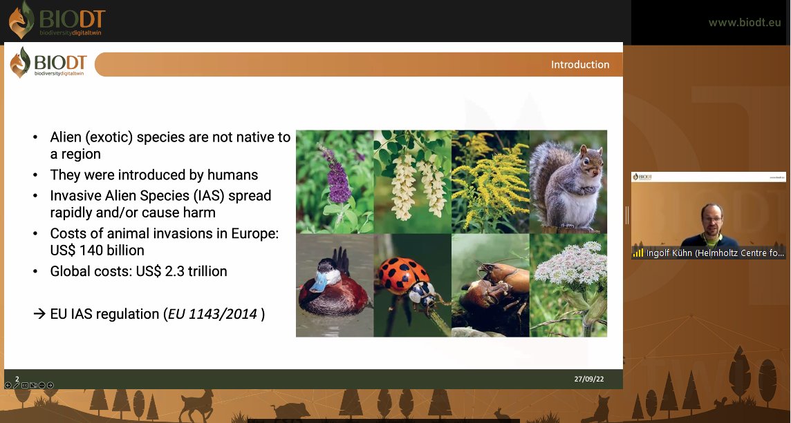 BiodiversityDT's tweet photo. One of our use cases focusses on the study of #invasive alien plant species: how many species can be found in a specific habitat? How do they react to changes?
Ingolf Kühn, Professor at Helmholtz Centre for Environmental Research
#biodiversity #BioDT #alienplant https://t.co/Kjaa1N2mFH