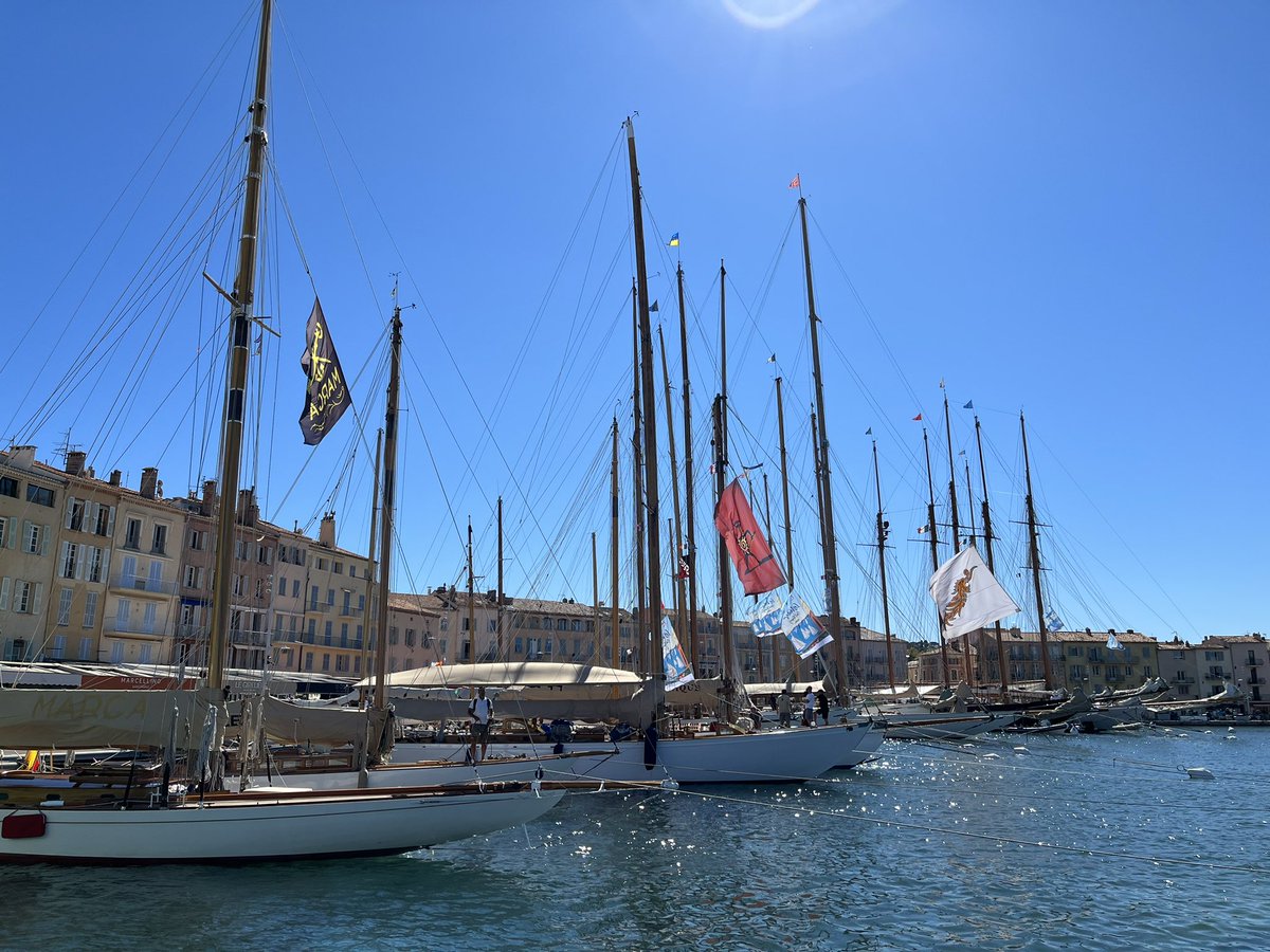 Dominic Codera tweet media