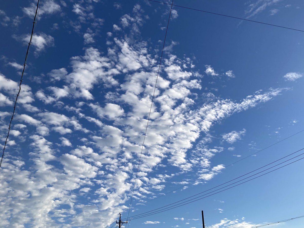 Tob1nyAn59's tweet photo. 秋を感じるようになってきました。

#空と猫
#空がある風景　#サバトラ　#猫 https://t.co/WQF23vdRRm
