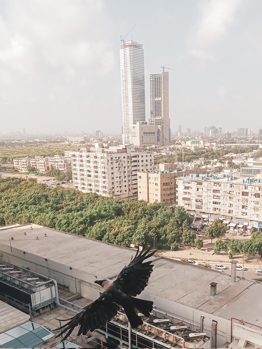 Crow flying in the hot sunny day, feel thirsty 

#crow #flying #bahriaicontower #bahriaicon #icontower #karachiweather #Karachi #bbcurdu #SamaaTV #DawnNews #dawndotcom #BBCWorld #Cityscape #cityview #timesofkhi #karachitimes #wu_pakistan #etribune #pakistantimes #bolentertainment