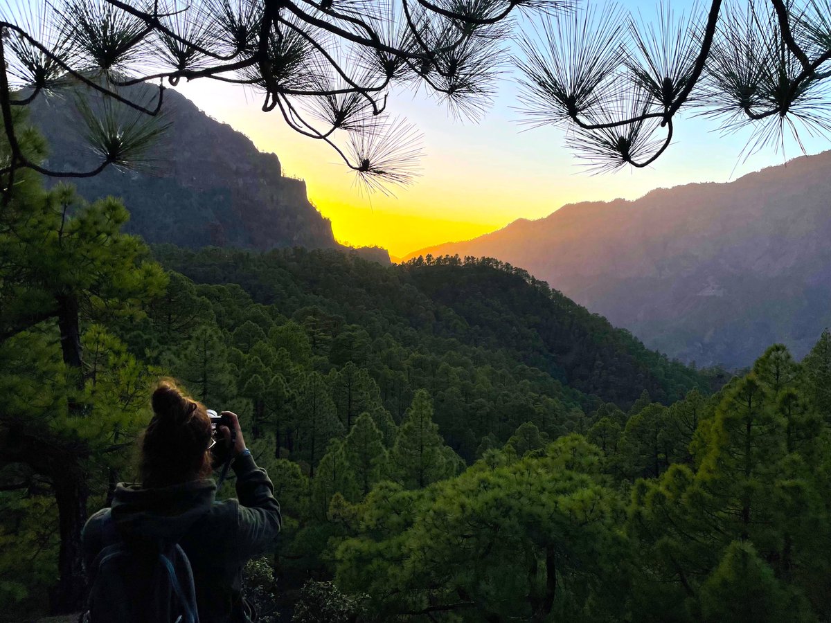 RandomTrip tweet media