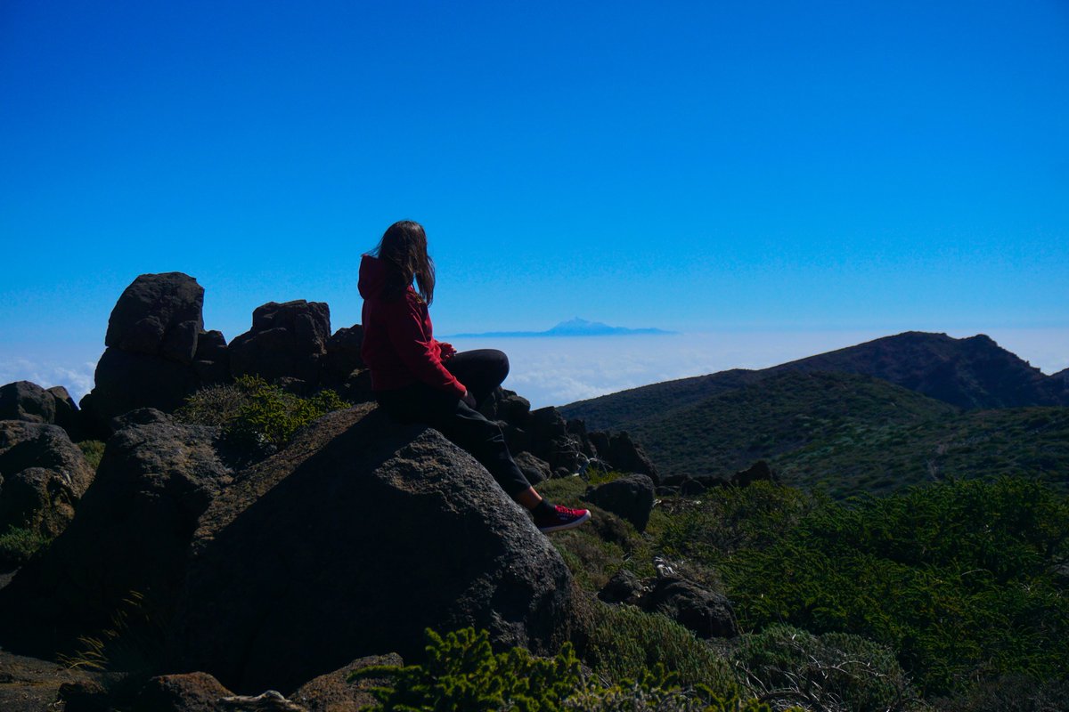 RandomTrip tweet media