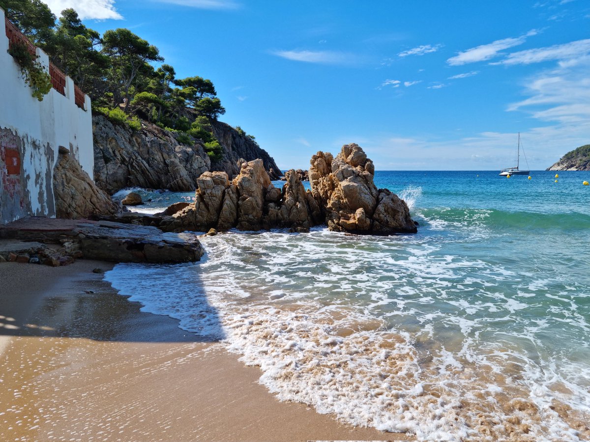 Josep Roig Casas tweet media