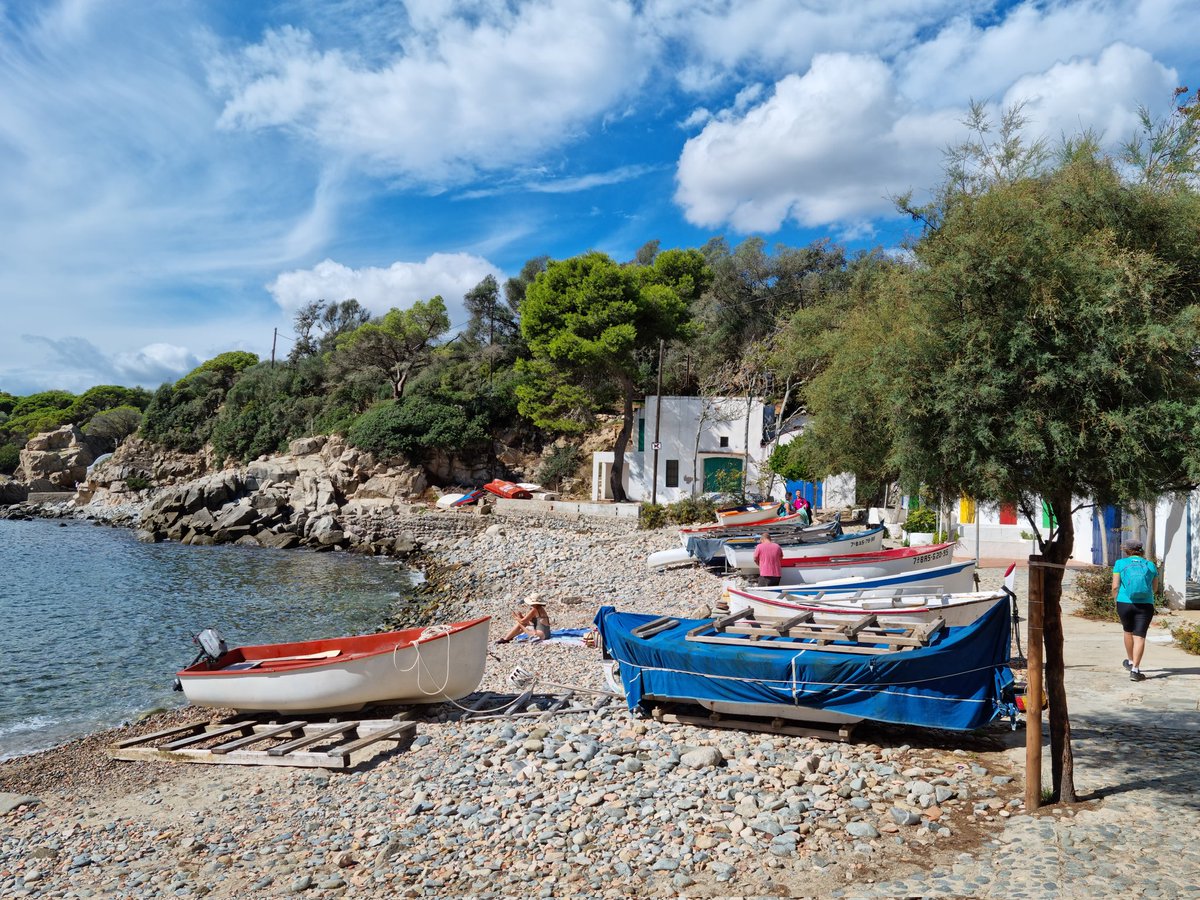 Josep Roig Casas tweet media