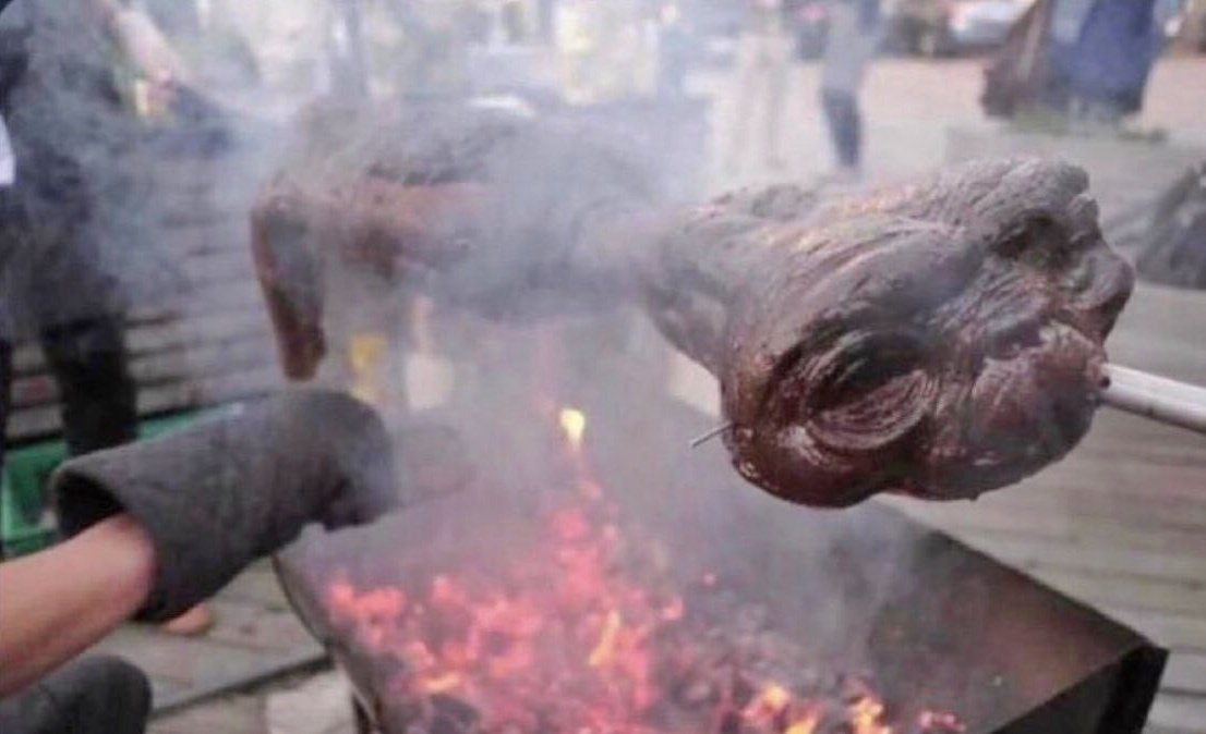 ET si hubiera aterrizado en Argentina